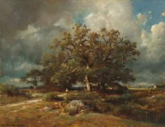 Die alte Eiche